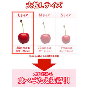 【予約受付】【200g】L玉 母の日ギフト ハウスさくらんぼ(佐藤錦)ダイヤパック