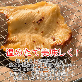 【3袋】「肉厚焙焼えいひれ」肉厚のガンギエイを厳選して焙焼！食べ応えのある厚さ！