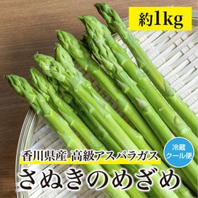 【約1.0kg(秀品)】さぬきのめざめ 香川県産 高級アスパラガス