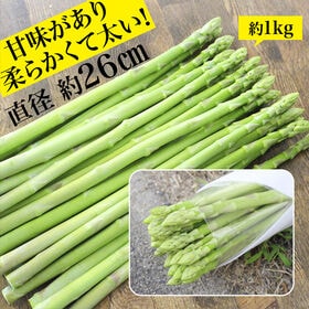 【約1.0kg(秀品)】さぬきのめざめ 香川県産 高級アスパラガス
