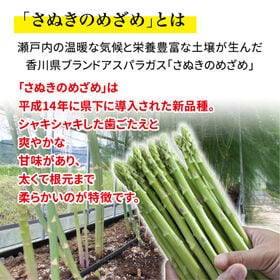 【約1.0kg(秀品)】さぬきのめざめ 香川県産 高級アスパラガス