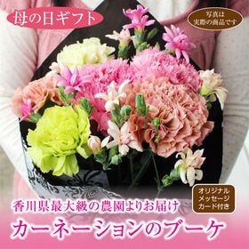 【予約受付】5/7~順次出荷 【母の日】特別なカーネーション ※5/7~9に出荷いたします！