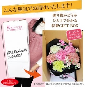 【予約受付】5/7~順次出荷 【母の日】特別なカーネーション ※5/7~9に出荷いたします！