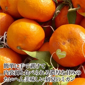 【予約】4/16~順次出荷【箱込 5.0kg】瀬戸内産 なつみ (ご家庭用・キズありサイズ混合)