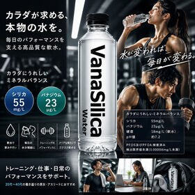 【550ml24本】VanaSilicaWater バナシリカウォーター バナジウム シリカ 天然水