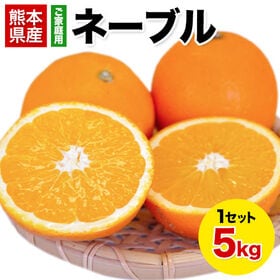 【5kg】ネーブル※ご家庭用（傷あり サイズ不選別）