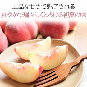 【予約受付】6/1~順次出荷【1kg(化粧箱入)】伊万里の桃 秀品