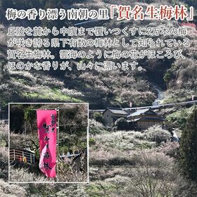 【予約受付】6/10~順次出荷【約2kg】南高梅 秀品