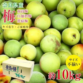 【予約受付】6/10~順次出荷【約10kg】南高梅 ご家庭用