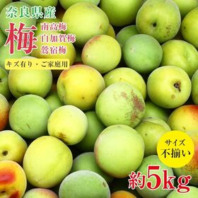 【予約受付】6/10~順次出荷【約5kg】南高梅 ご家庭用