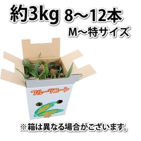【予約受付】6/15~順次出荷【約3kg(8~12本】ピュアホワイト とうもろこし 九州産