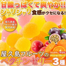 【お徳用500g】屋久島フルーツのペクチンゼリー3種500g...