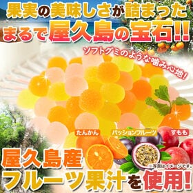 【お徳用500g】屋久島フルーツのペクチンゼリー3種500g(パッションフルーツ、たんかん、すもも)