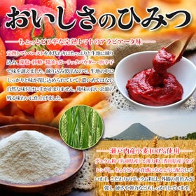 【250g】完熟トマトのアラビアータ風パスタスナック