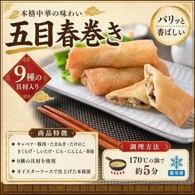 【48本】9種の具材ぎっしり！五目春巻き