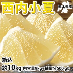 【箱込み約10kg】熊本県産 西内小夏（ご家庭用、傷あり）