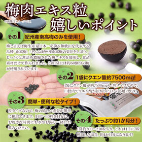 梅肉エキス粒50g(お試しサイズ)