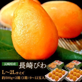 【計約1kg/約500g(9〜12玉)×2箱】長崎県産 長崎びわ【冷蔵】 | びわの大産地 長崎県の枇杷です。