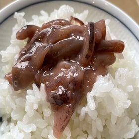 【計800g/200g×4袋】木樽仕込み いかの塩辛【辛口】