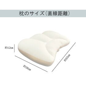 空間fitの夢まくら 極 きわみ （カバー：オフホワイト）