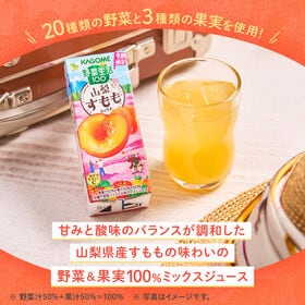 カゴメ 野菜生活100 山梨すももミックス 195ml×24本