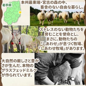 【黄缶/18枚入×3缶】プレミアム ヤギミルククッキー(タイム、マジョラム等、スパイス＆ハーブ6種)