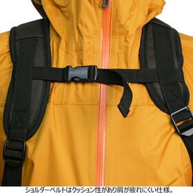 【日替わり数量限定】【ブラウン】Dickies/ディッキーズ バックパック【先行チケット利用NG】