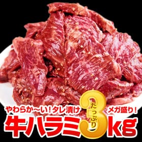 【3kg(500g×6)】極厚秘伝のタレ漬け牛ハラミ | 歯ごたえがあるのに柔らかくほぐれる食感が人気の秘訣！ジューシーな赤身と脂身の絶妙なバランス