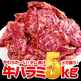 【5kg(500g×10)】極厚秘伝のタレ漬け牛ハラミ | 歯ごたえがあるのに柔らかくほぐれる食感が人気の秘訣！ジューシーな赤身と脂身の絶妙なバランス