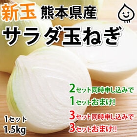 【1.5kg】熊本県産 サラダ玉ねぎ この時期にしか味わえない新玉！ | 2セット同時申し込みで1セットおまけ!! 3セット同時申し込みで3セットおまけ