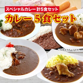 【5食】本格派レトルトカレー厳選セット ご当地カレー5種を食べ比べ！ | メガヒット中のカレーセット！本格派レトルトカレー※コストを抑えた簡易包装でお届け♪