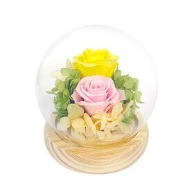 【希(イエロー)】ドーム型 プリザーブドフラワーアレンジメント