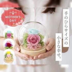 【希(ブルー)】ドーム型 プリザーブドフラワーアレンジメント