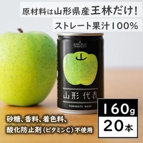 【160g×20本】SUN&LIV 山形代表青りんご（山形食品）しつこくない甘さのりんごジュース♪