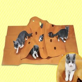 折り畳んで収納もできて便利！楽しく遊べる「猫ちゃんのストレス解消折り畳めるトンネルマット」