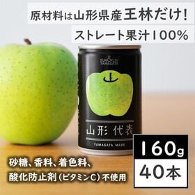 【160g×40本】SUN&LIV 山形代表青りんご（山形食品）しつこくない甘さのりんごジュース♪
