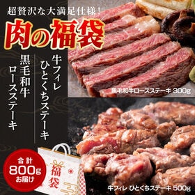 【福袋800g】牛フィレ＆黒毛和牛ロースステーキ