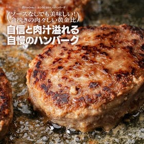 【520g(130g×4)】ふつうにおいしいハンバーグ