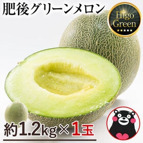 【1玉2Lサイズ約1.2kg以上】熊本県産 秀品 肥後グリーンメロン | 少人数のご家庭や、ギフトにもおすすめな！