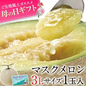 【約1.5kg以上/1玉3Lサイズ】母の日ギフト 熊本県産《秀品》マスクメロン | 少人数のご家庭や、ギフトにもおすすめな逸品！