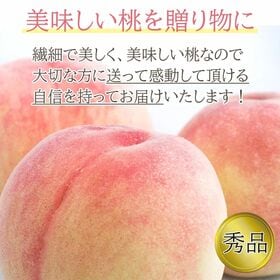 【予約受付】6/20~順次出荷【1kg(3~6玉)】和歌山の桃 秀品 あら川・紀の川等【常温】