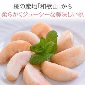 【予約受付】6/20~順次出荷【1kg(3~6玉)】和歌山の桃　秀品　あら川・紀の川等【冷蔵】