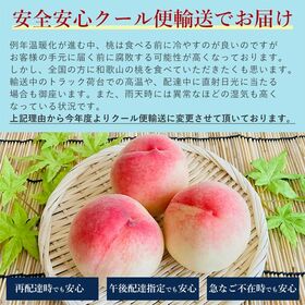 【予約受付】6/20~順次出荷【1kg(3~6玉)】和歌山の桃　秀品　あら川・紀の川等【冷蔵】