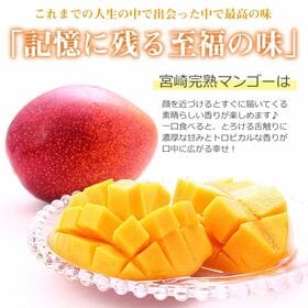 【予約受付】6/10~順次出荷【2玉(3Lサイズ)】宮崎完熟マンゴー 大玉