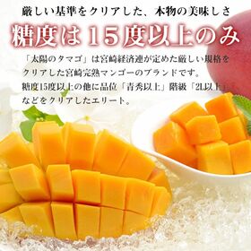 【予約受付】6/15~順次出荷【2玉/2Lサイズ】太陽のタマゴ 宮崎完熟マンゴー