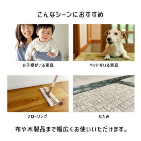 【2本組】乳酸カビナイト ST 450ml