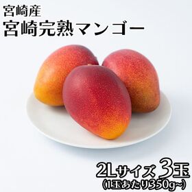 【宮崎】2L3玉　完熟マンゴー