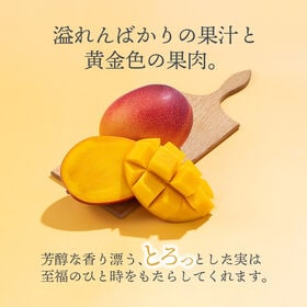 【宮崎】2L3玉　完熟マンゴー