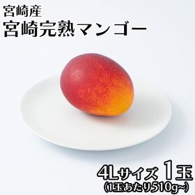 【宮崎】4L1玉　完熟マンゴー