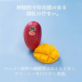 【予約受付】4月下旬~順次出荷【宮崎】4L1玉　完熟マンゴー ・太陽のタマゴ